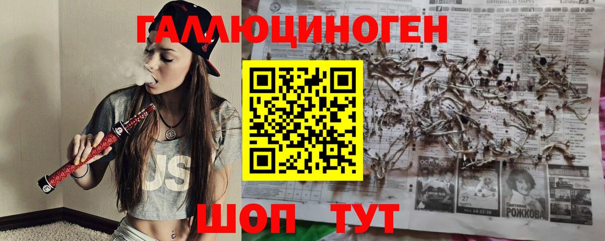 Химки  Галлюциногенные грибы GOLDEN TEACHER  купить наркотик  Вход с VPN 